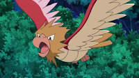 Pokemons de Kanto! Spearow_anime