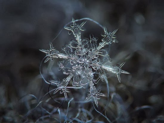 مصور روسي يكشف عن جمال فريد لرقاقات الثلج  Snowflake-closeup-550x412