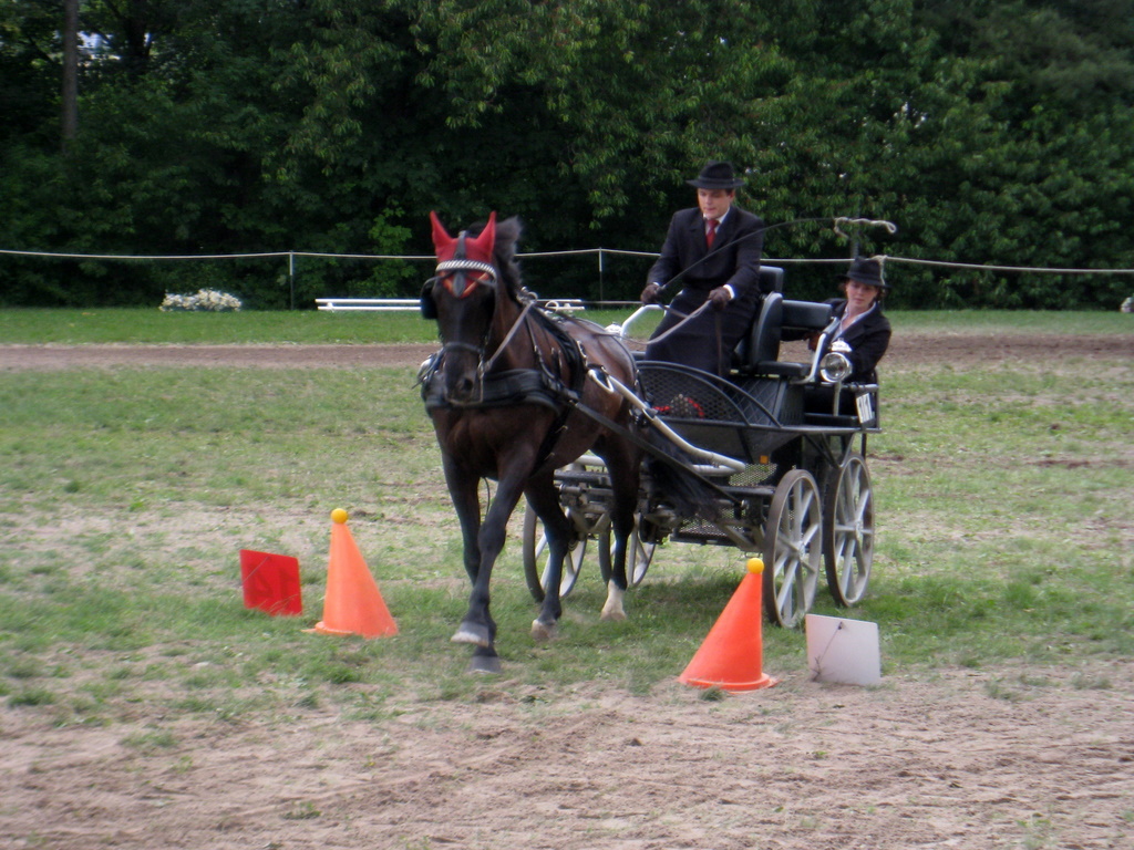 Hindernisfahren - Fotos von einem Turnier IMG_1344