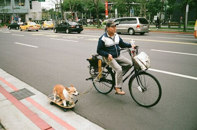 Một vài ảnh giải trí :D Podborka_139