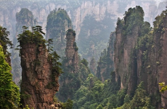 أعمدة تشانغ جياجيه الصينية.. عالم ليس كعالمنا Pillar-mountains-china03