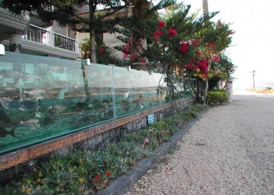 رجل أعمال تركي يبني أكبر "حوض سمك "يحيط منزله  Das-gr%C3%B6%C3%9Fte-Aquarium-Zaun-02