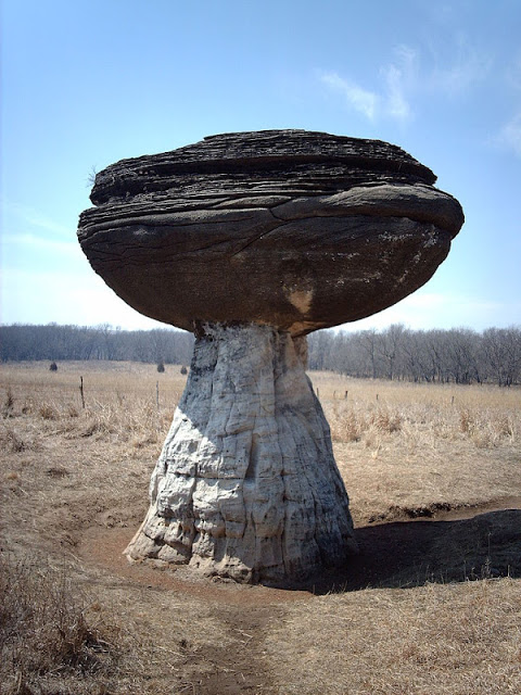 أكثر 10 صخور غريبه حول العالم  Mushroom-rock%5B3%5D