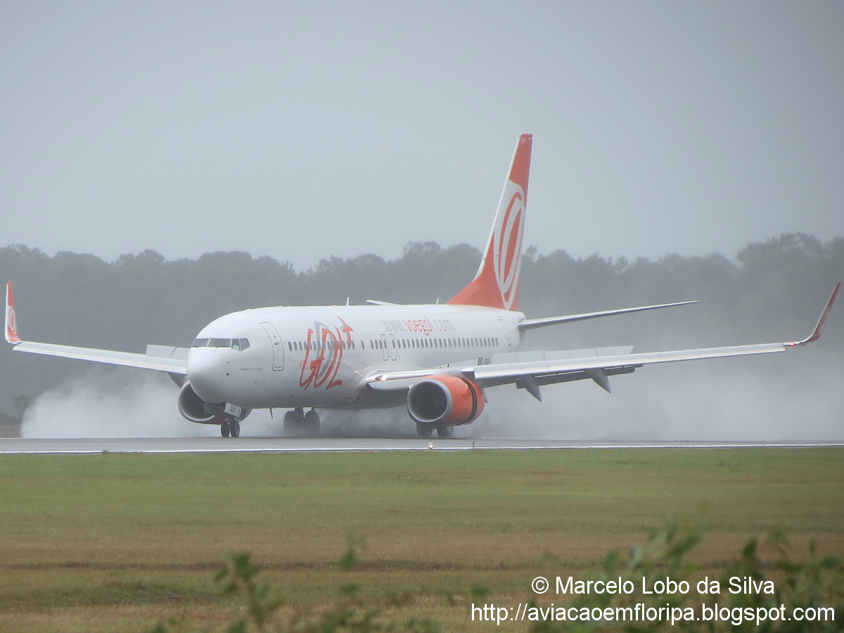 Spotting sous beaucoup de pluie! IMG_2614