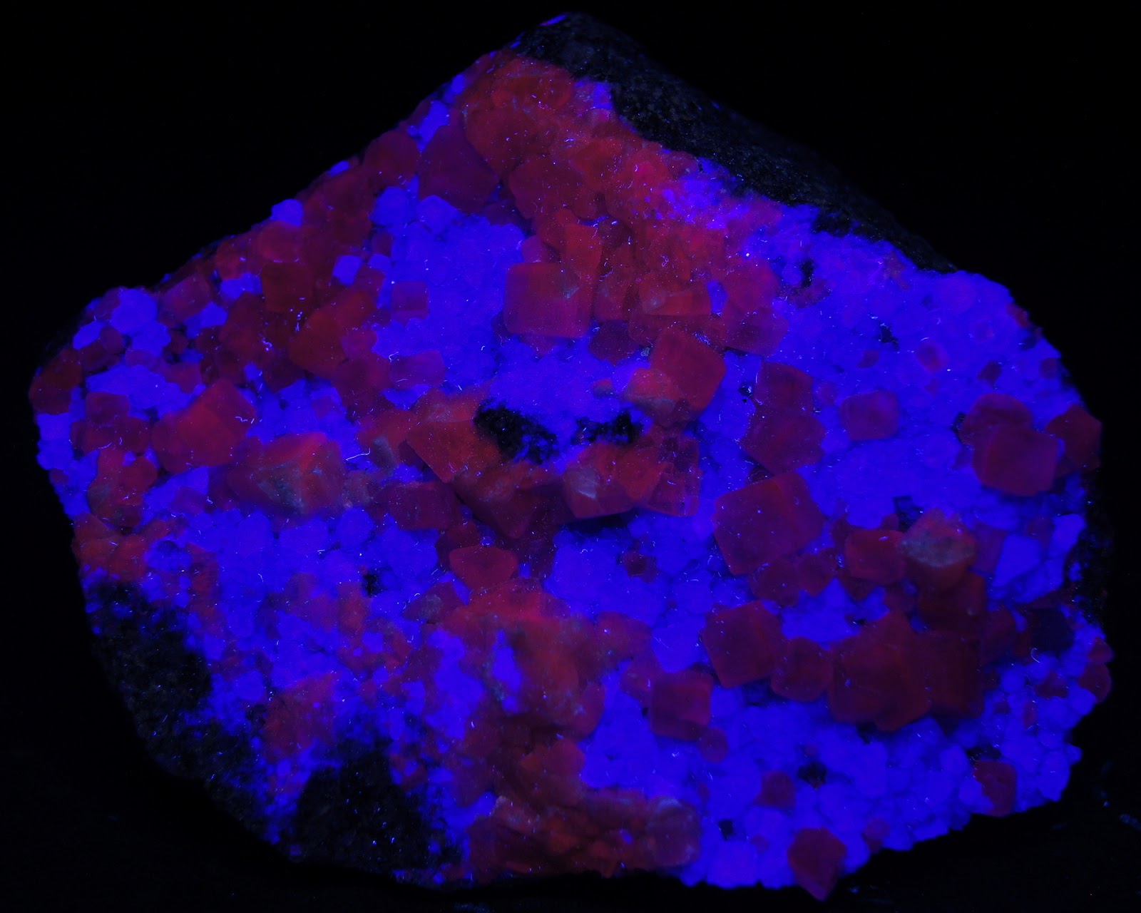 Colección de Minerales Fluorescentes _DSC4753