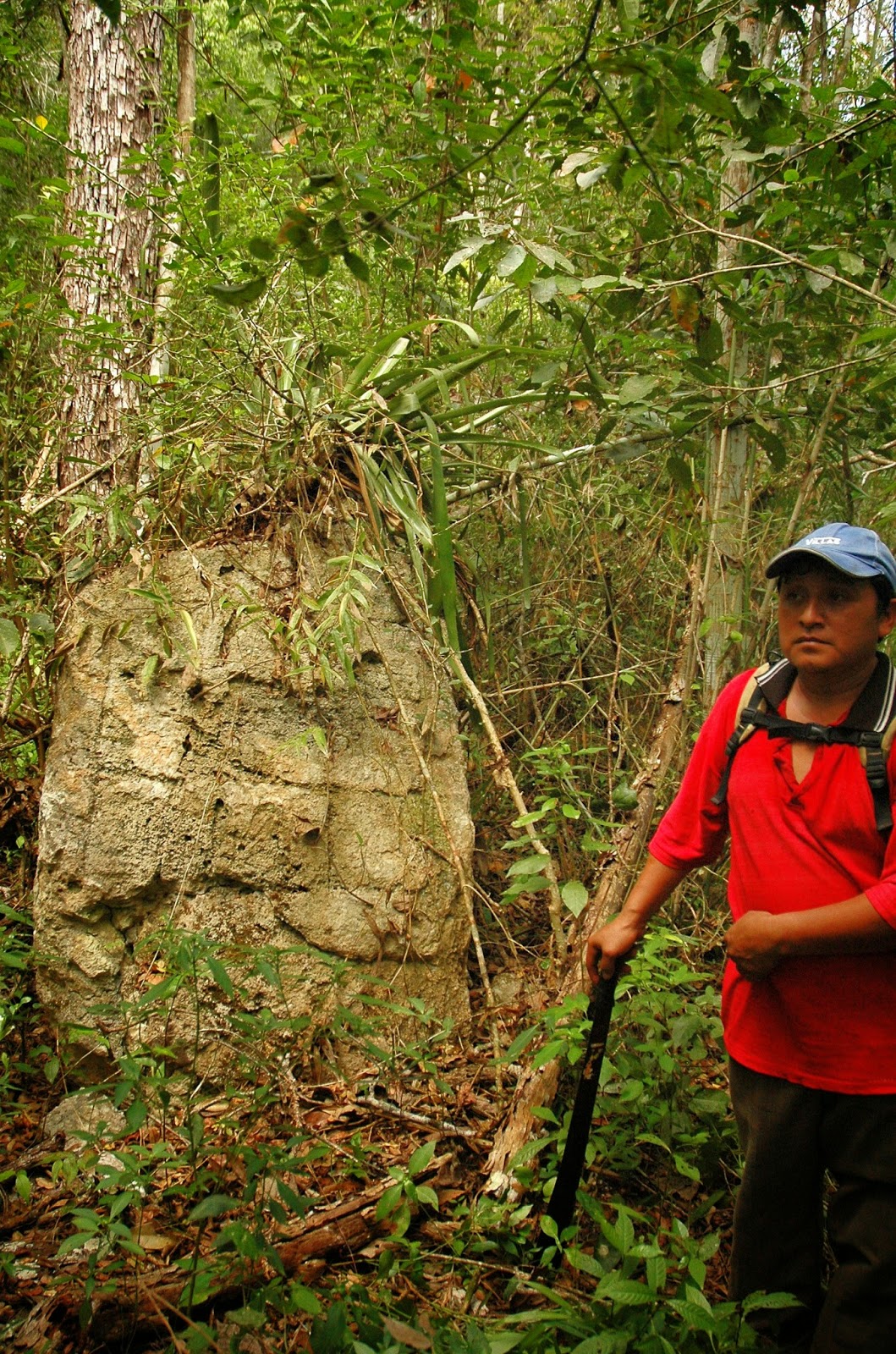 Two ancient Maya cities discovered in the jungle of southeastern Mexico Mexico_15