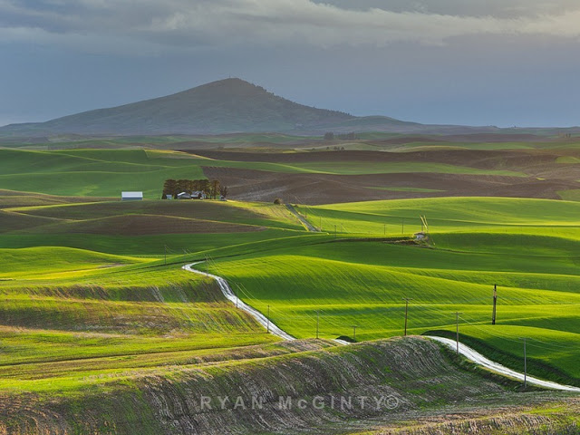 تعرف على بالويوس ارض العشب الملون Palouse-17%5B2%5D