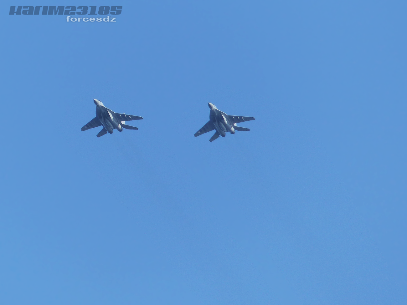 صور طائرات القوات الجوية الجزائرية  [ MIG-29S/UB / Fulcrum ] 4