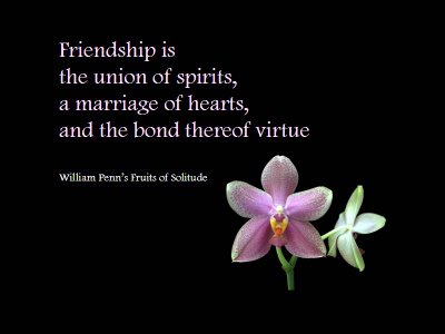Friendship Quotes !! Friendship-quotes
