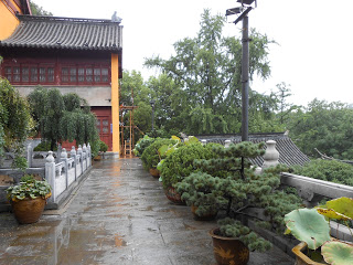 Jiming Temple (Nanjing) Jardim