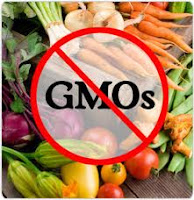 GMOs: Not Even in Moderation  Gmo