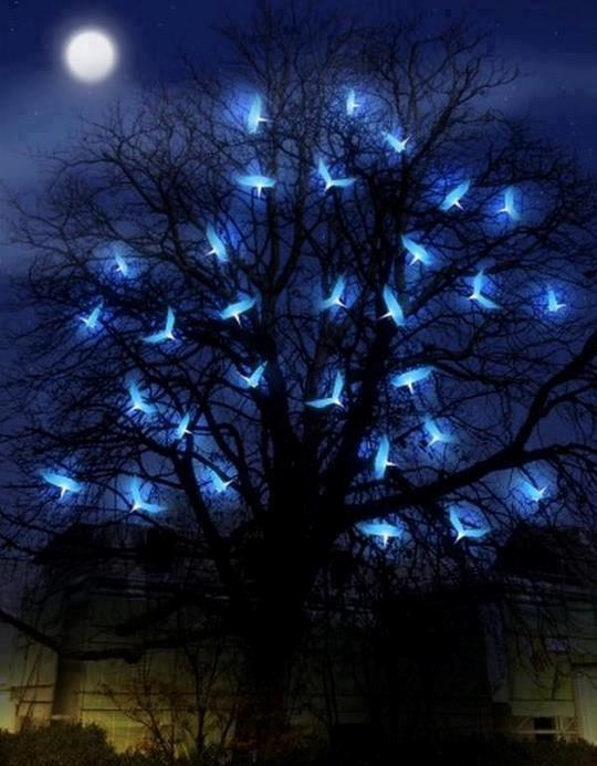 POEMAS SIDERALES ( Sol, Luna, Estrellas, Tierra, Naturaleza, Galaxias...) - Página 3 121117_arbol-y-pajaros-luminosos-en-la-noche_un-mundo-magico