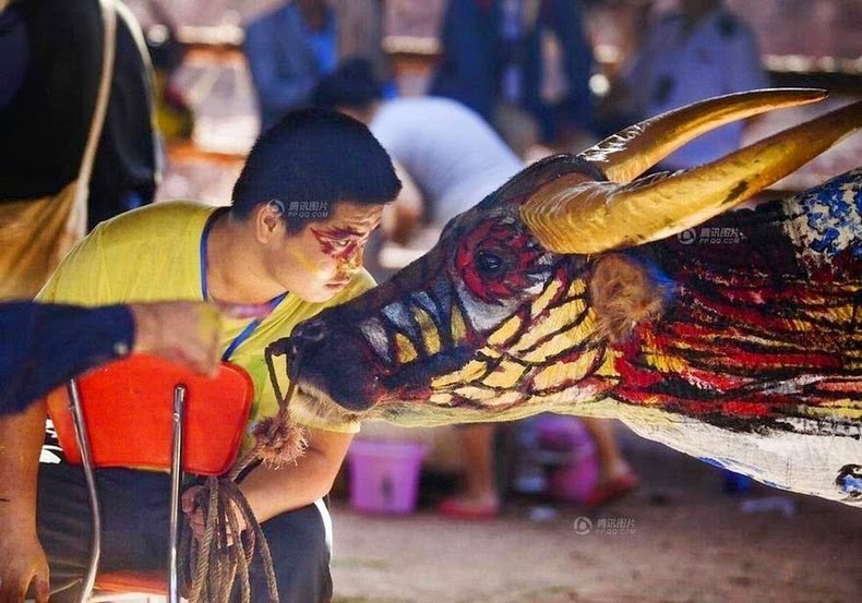 Buffalo Bodypainting Competition in China Buffalo-bodypainting-china-9