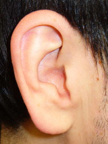 [معلومات] كيف تُسعف شخص مصاب عنده نزيف بالأذن Finding-the-perfect-ear