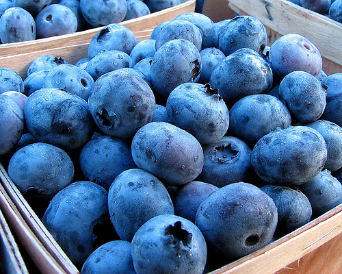 Adivinhe a banda pelas imagens - Página 21 Blueberries