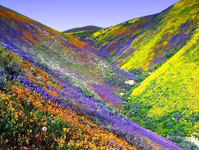 EL MUNDO EN TODO SU ESPLENDOR - Página 18 Primavera