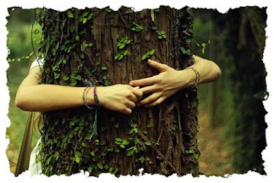 abrazar un arbol re-equilibra nuestras energias Abrazar_arbol_borde