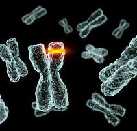 A insuficiência das mutações  Mutation