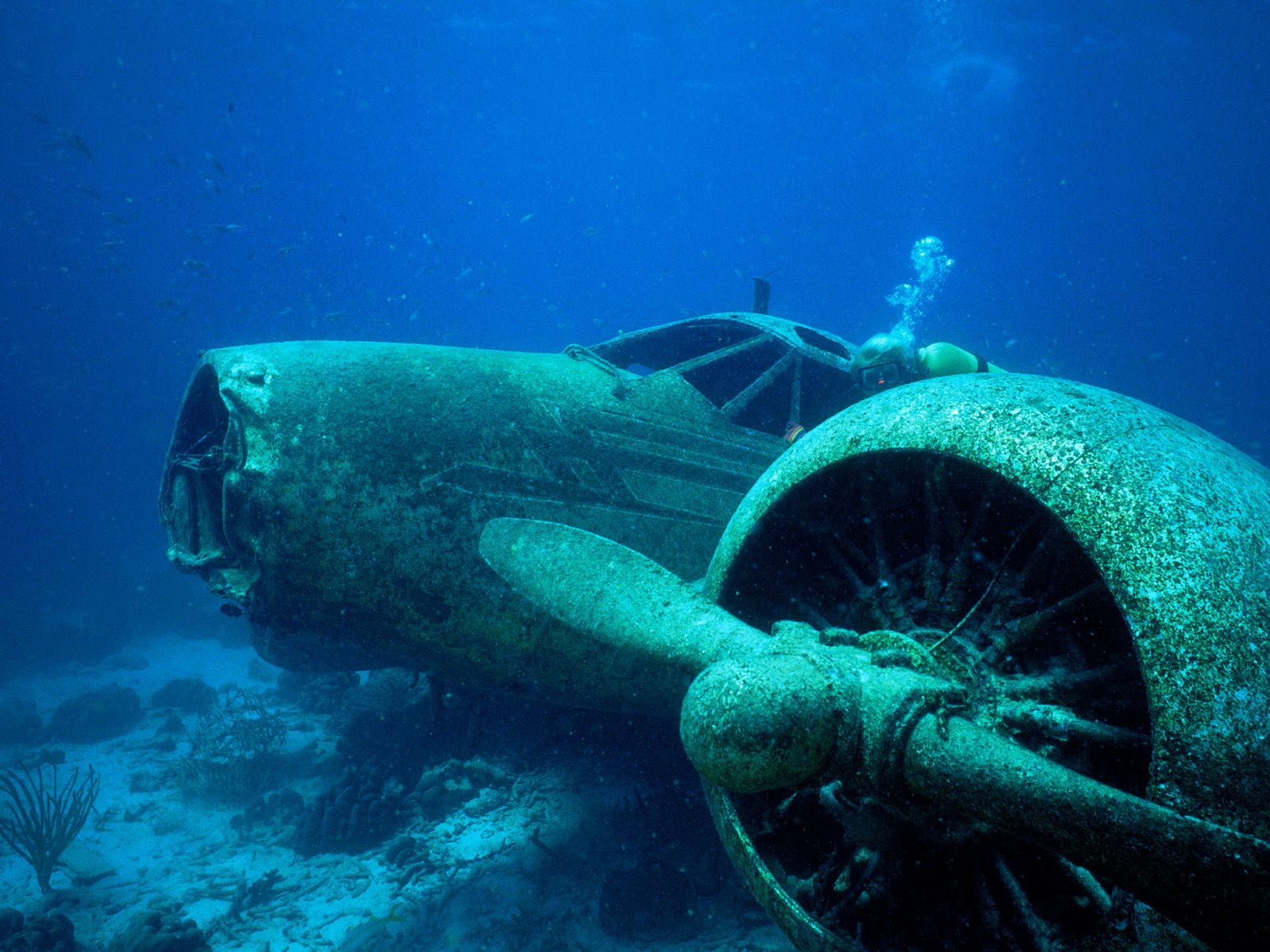 FOTOS DEL FONDO DEL MAR  :bz1: - Página 14 Airplanes_crash_wrecks_underwater_airplane_wreck_diving_disaster_desktop_1600x1200_wallpaper-177768