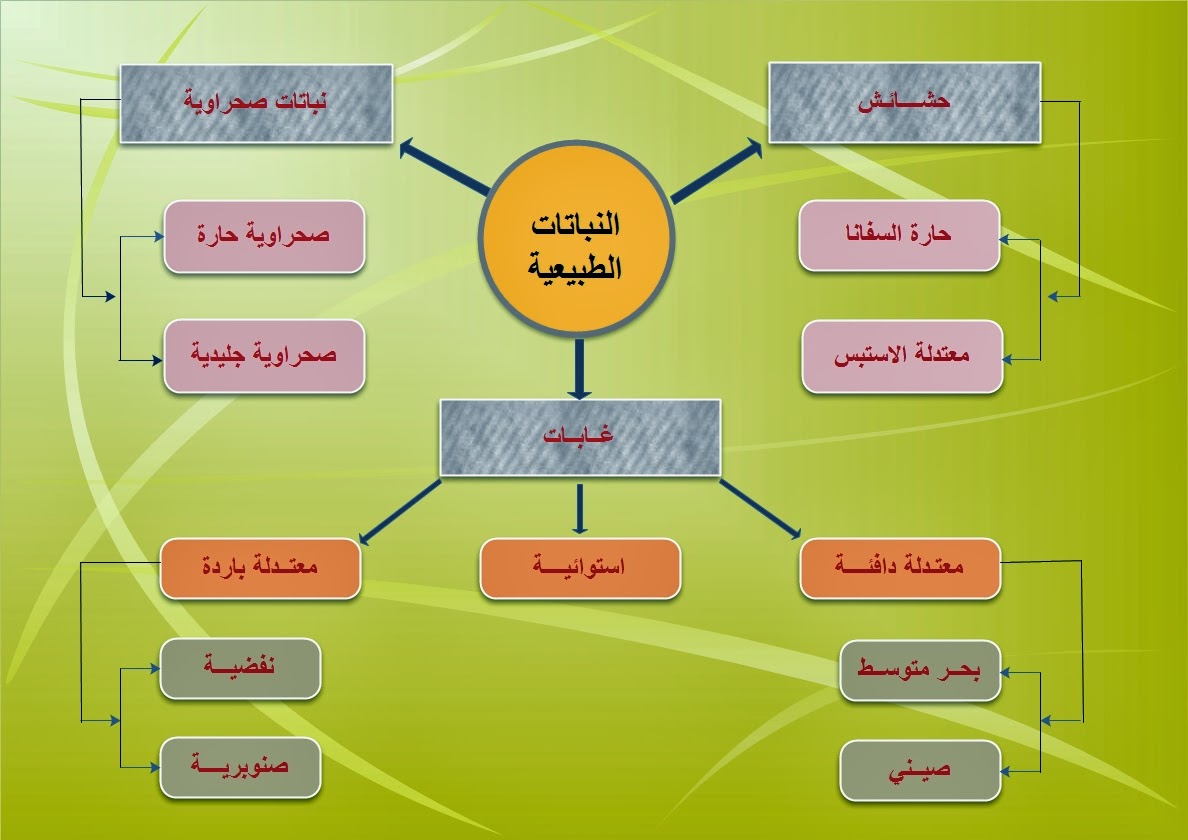 النباتات %D8%A7%D9%84%D9%86%D8%A8%D8%A7%D8%AA%D8%A7%D8%AA