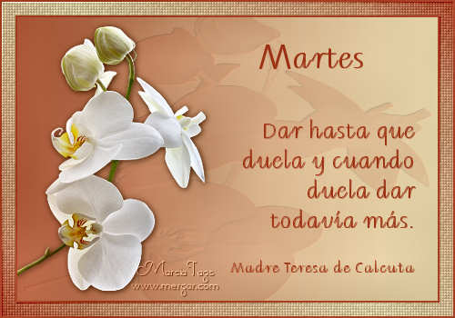 MARTES 21 DE FEBRERO DE 2012 - Por favor pasen sus datos, pálpitos y comentarios de quiniela AQUI para hacerlo más ágil. Gracias  - Página 2 Mgc-Flores15_02-Martes_Tube-Anna_br