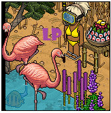 Notícias Habbo Savana%2B4