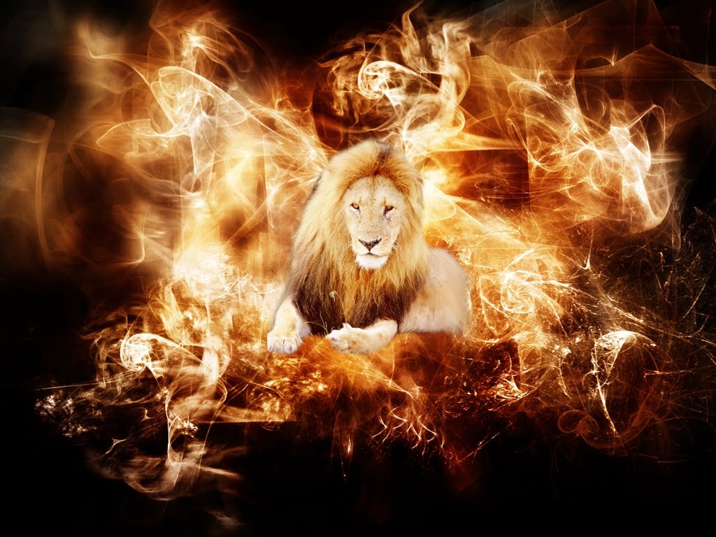 Anniversaire du jour - Page 10 Fire-Lion-wallpaper