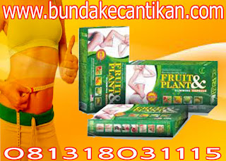 PELANGSING SUPER HERBAL FRUITPLANT EFEKTIF TURUNKAN BERAT BADAN [081318031115,PIN BB 2A53E2BB] FRUITPLANT