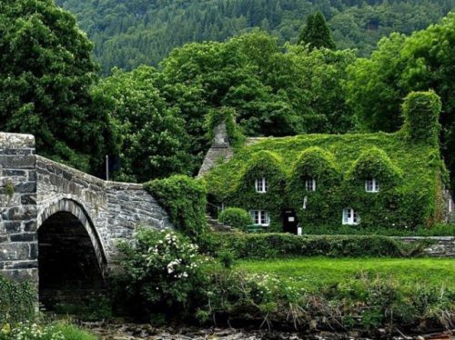 غرائب و عجائب البيوت من حول العالم  Unique-bizarre-houses-16