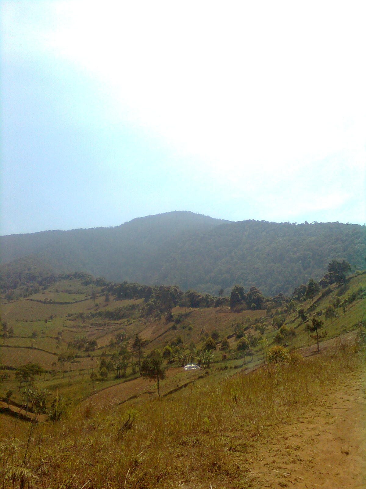 Berbagi pengalaman mendaki gunung (khususnya) dan wisata alam (umumnya) Foto0499