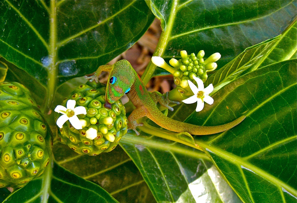 الصور - 30 - الفائزة في مسابقة تصوير الطبيعة لعام 2012 في الولايات المتحدة ! Supercoolpics_03_13082012163826