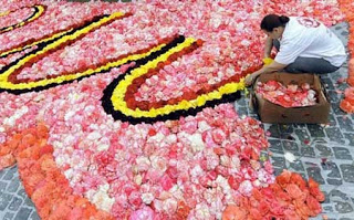 أكبر سجادة مصنوعة من الزهور في العالم  Flower-carpet-3