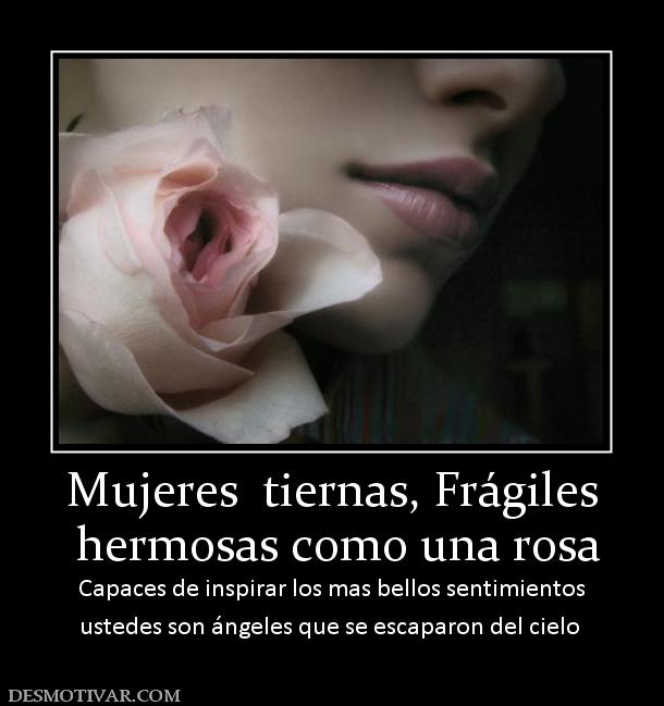 ** Fragile ** - Página 18 Shesly