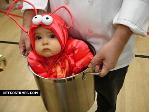 صور مضحكة - صفحة 57 Funny-photos-de-b%C3%A9b%C3%A9-de-homard-