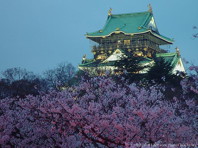 இயற்கையின் அழகுகள் Snowy-Japan%2B(2)