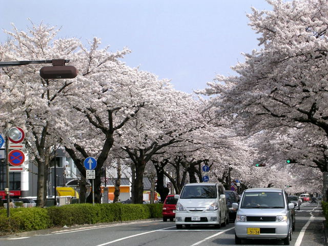 இயற்கையின் அழகுகள் Snowy-Japan%2B(11)