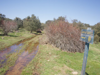 Camino del levante,el comienzo.. - Página 7 P1012037