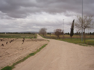 Camino del levante,el comienzo.. - Página 6 P1011747