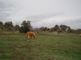 Camino del levante,el comienzo.. - Página 6 P1011874