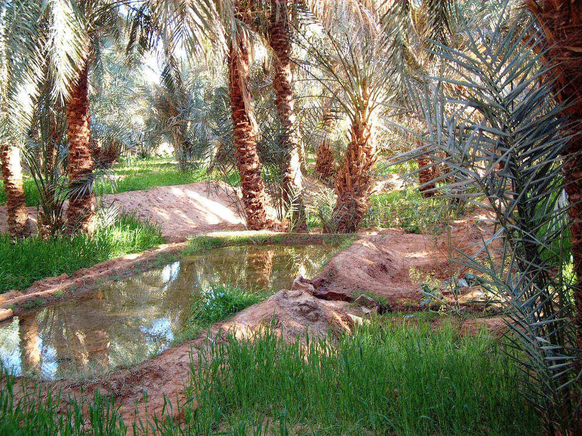 تحويسة الى ولاية ادرار مرحبا بيكم Oasis-timimoun