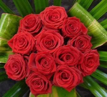 سلامتك من الآه يا شمس المنتدى Red_Roses