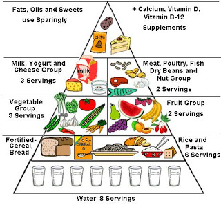 நாம் எதை உண்கிறோம்? எவ்வளவு உண்கிறோம்? Food_pyramid