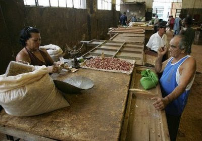 FOTOGALERIA DE LA COTIDIANIDAD EN CUBA  Des6