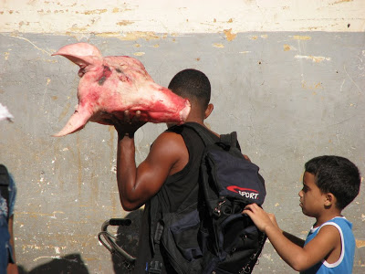 FOTOGALERIA DE LA COTIDIANIDAD EN CUBA  CabezaPuerco