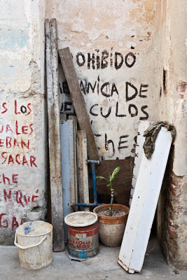 FOTOGALERIA DE LA COTIDIANIDAD EN CUBA  Culos