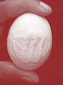 !!!nAme oF ALLAH eVeRywHeRe!!!‏ 0821egg