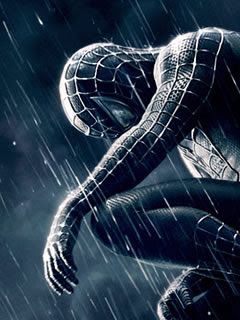 Fondos para w100a 240x320-wallpaper-SpiderMan3