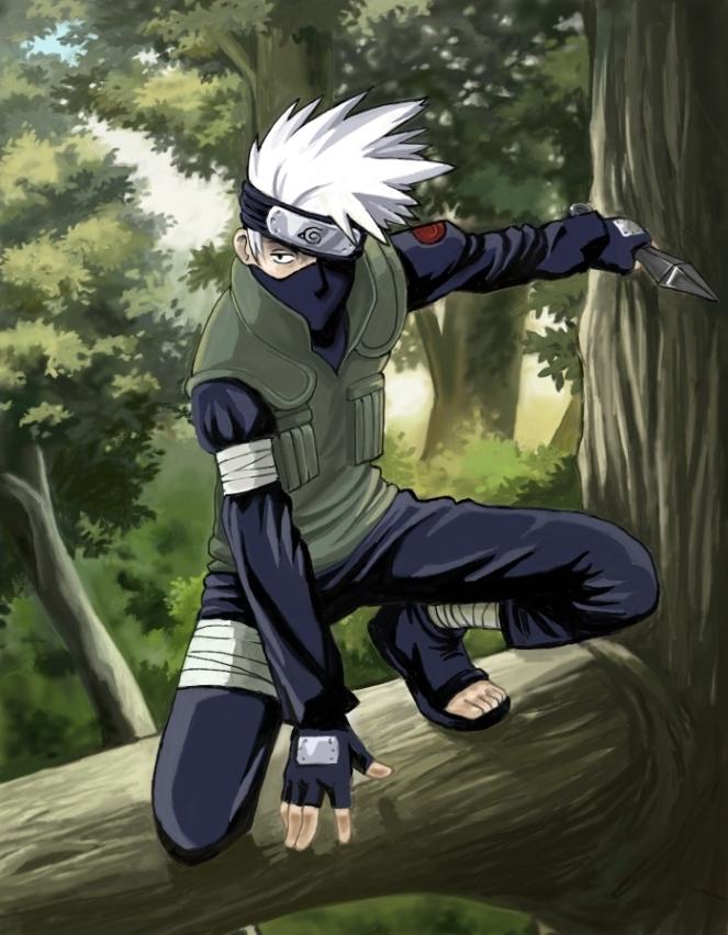 صور هاتاكي كاكاشي. Kakashi-ninja_style-