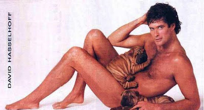 Quiero una imagen de ......... - Página 5 David-hasselhoff