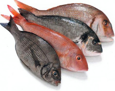 மூளை வளர்ச்சிக்கு பெரிதும் உதவும் மீன் உணவு Fresh%2520fish